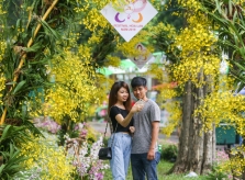 Lễ hội trưng bày 14.000 cây hoa lan ở Sài Gòn