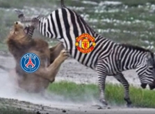 Ảnh chế 'ngựa vằn' Man Utd hạ PSG