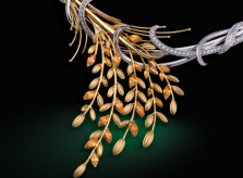 CAO Fine Jewellery ra mắt BST lấy cảm hứng từ tre và lúa