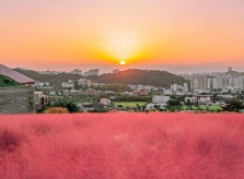 Mùa thu hồng ở Cheonan
