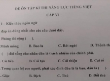 Đề thi năng lực Tiếng Việt 'hại não' dành cho người Nhật