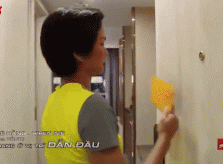 Dàn sao Cuộc đua kỳ thú bị tố 
