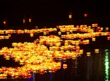 Dòng sông hoa đăng đẹp lung linh giữa Sài Gòn