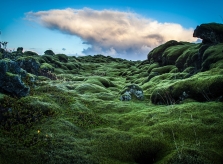 Lạc đến Mặt Trăng trên cánh đồng dung nham rêu phủ Iceland