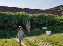 Gia đình Việt làm 'vườn - ao - chuồng ' tại Đức