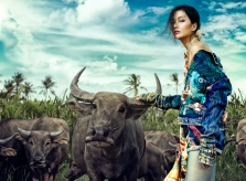 H'Hen Niê diễn thời trang cạnh trâu