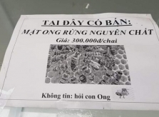 Những ảnh hài hước trong ngày