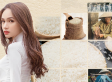 Hương Giang tặng Đà Nẵng 10 tấn gạo