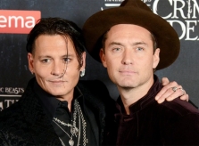 Jude Law nói về việc Johnny Depp trả vai phù thủy hắc ám