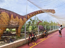 Công viên khủng long - điểm giải trí mới trong sân bay Changi