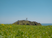 Làng Seongsan-eup bình yên trên đảo Jeju