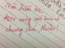 Giáo viên phê 'Nên kiểm tra ADN...' những bài thi có chung chú thích