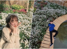 Quán cà phê đủ góc 'sống ảo' ở Đà Lạt