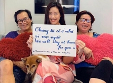 Sao Việt kêu gọi ở nhà tránh dịch