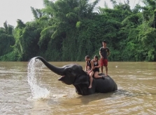 Tắm cùng voi ở trang trại gần Bangkok