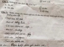 Giáo viên 'cạn lời' với cách hoàn chỉnh thành ngữ của học sinh