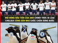 Tottenham bị loại ê chề khỏi cúp C1, ngoại hạng Anh đang 