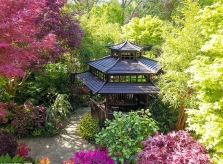 Cặp vợ chồng già biến vườn nhà thành kiệt tác nghệ thuật khiến ai cũng ngưỡng mộ