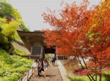 Hành trình 1.015 bước chân tới ngôi đền đẹp bậc nhất Nhật